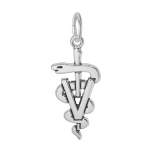 Veterinarian Medical Logo Charm